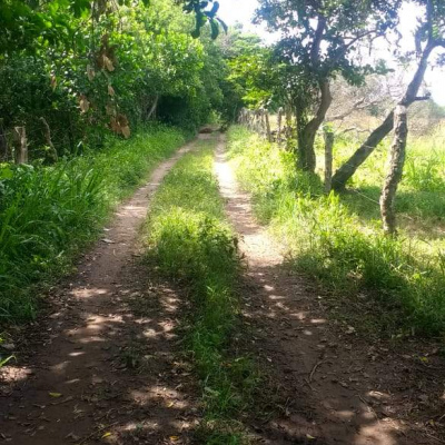 Venta de Terreno en la Congregación El Zapote